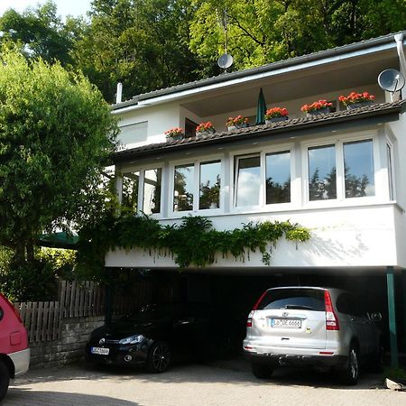 Apartament Regio Basiliensis Grenzach-Wyhlen Zewnętrze zdjęcie
