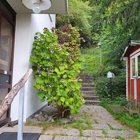 Apartament Regio Basiliensis Grenzach-Wyhlen Zewnętrze zdjęcie
