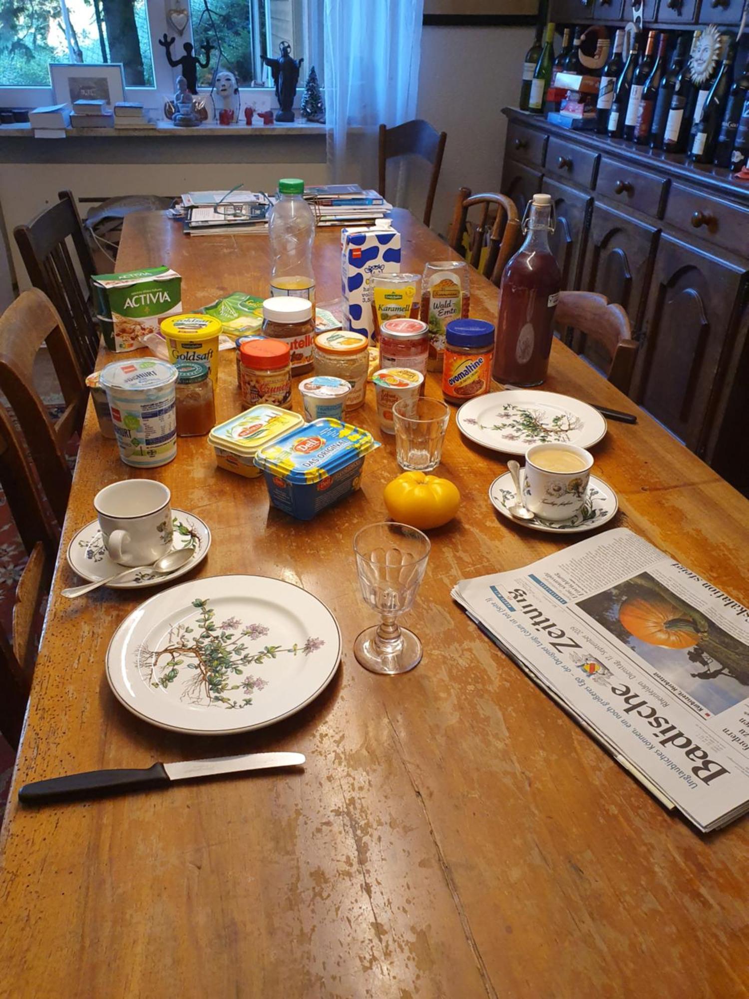 Apartament Regio Basiliensis Grenzach-Wyhlen Zewnętrze zdjęcie