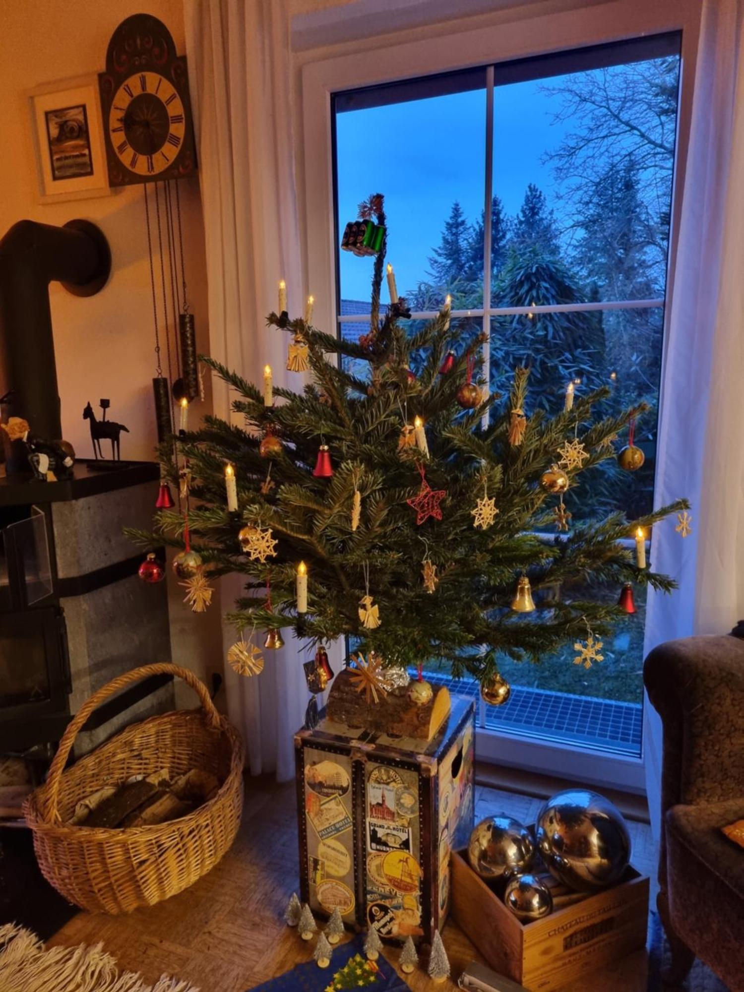 Apartament Regio Basiliensis Grenzach-Wyhlen Zewnętrze zdjęcie
