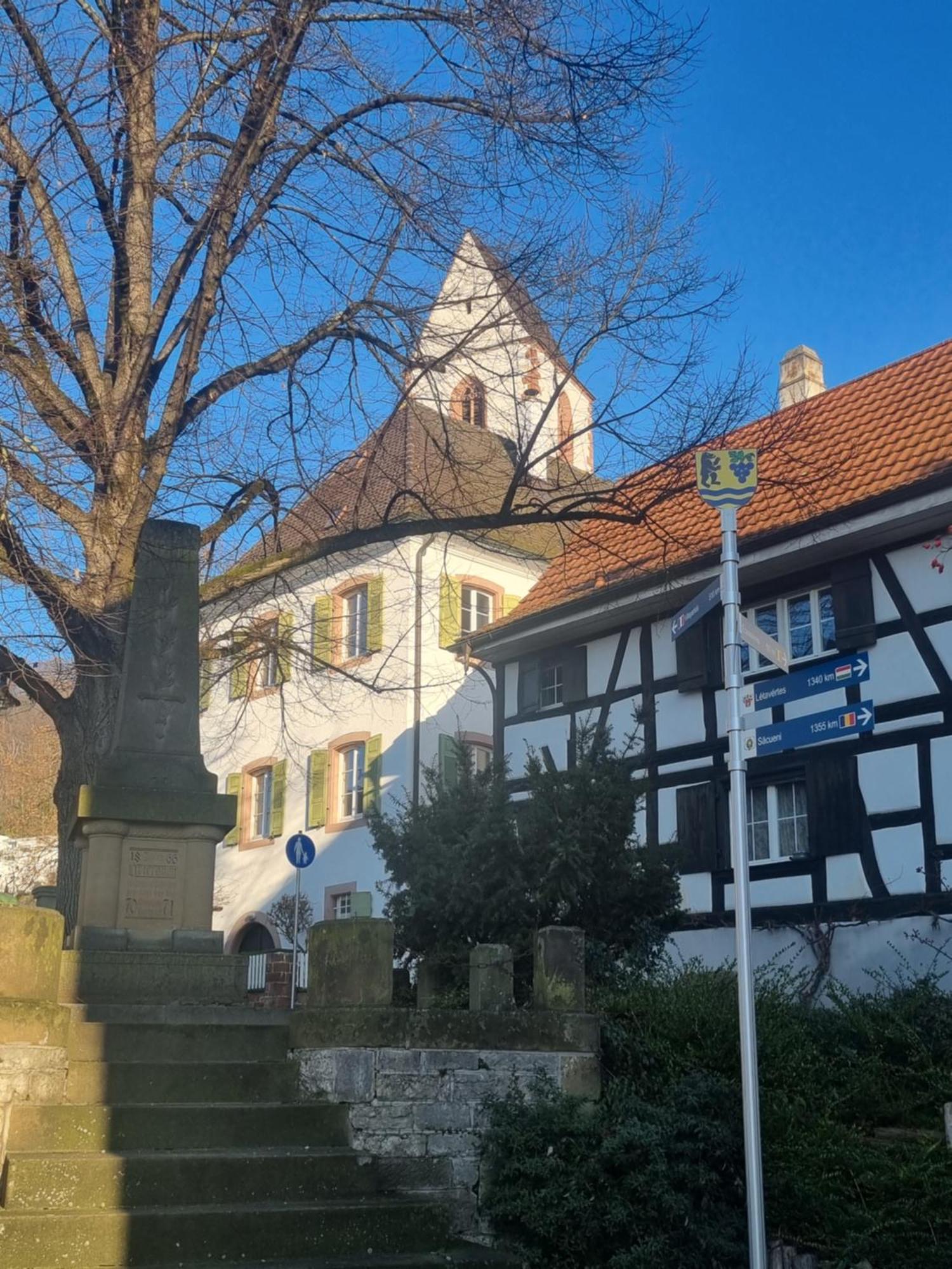 Apartament Regio Basiliensis Grenzach-Wyhlen Zewnętrze zdjęcie