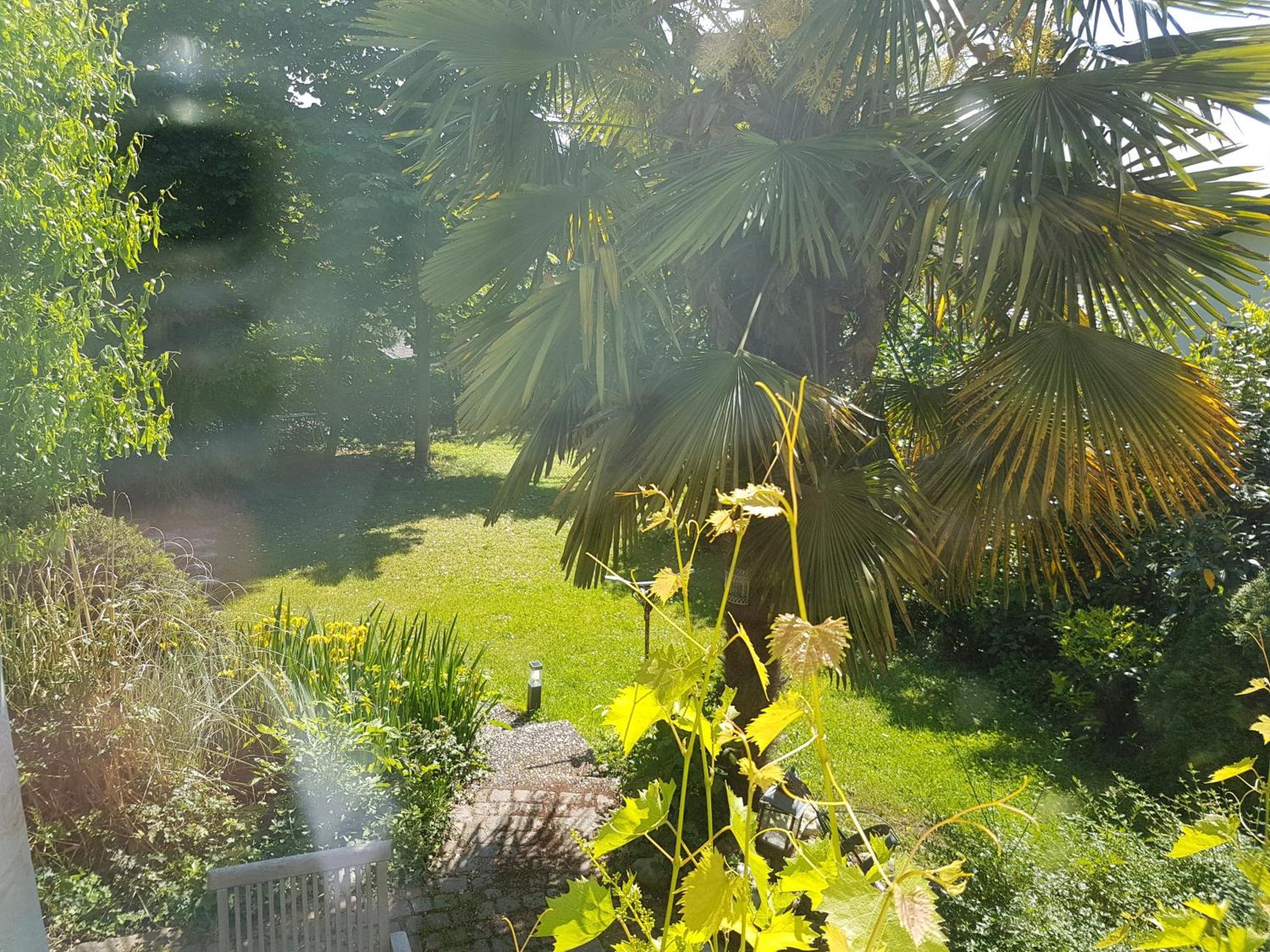 Apartament Regio Basiliensis Grenzach-Wyhlen Zewnętrze zdjęcie